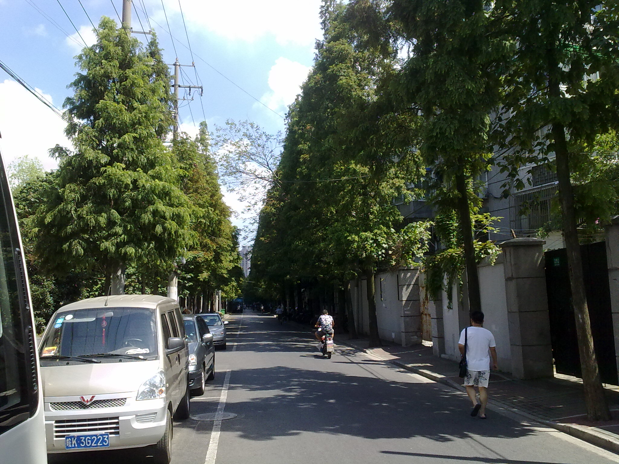 20100820377.jpg