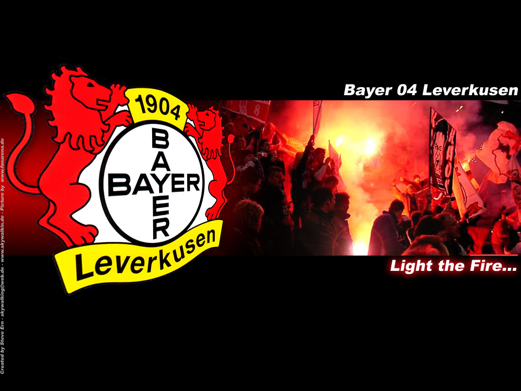 bayer04.jpg