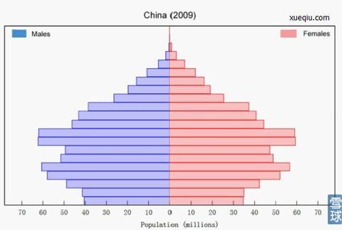 人口结构模型图天朝.jpg