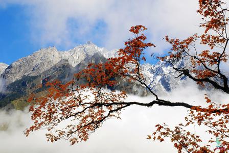 西岭雪山