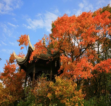 峨眉山